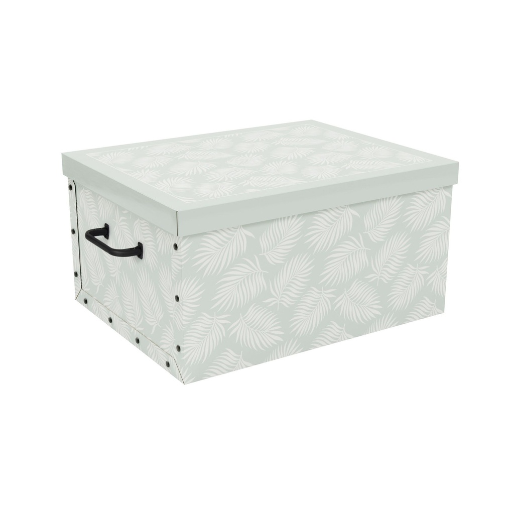 PALMA BAULOTTO CART.50X40X25H