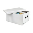 BAULOTTO CART. ANTON 50X40X25