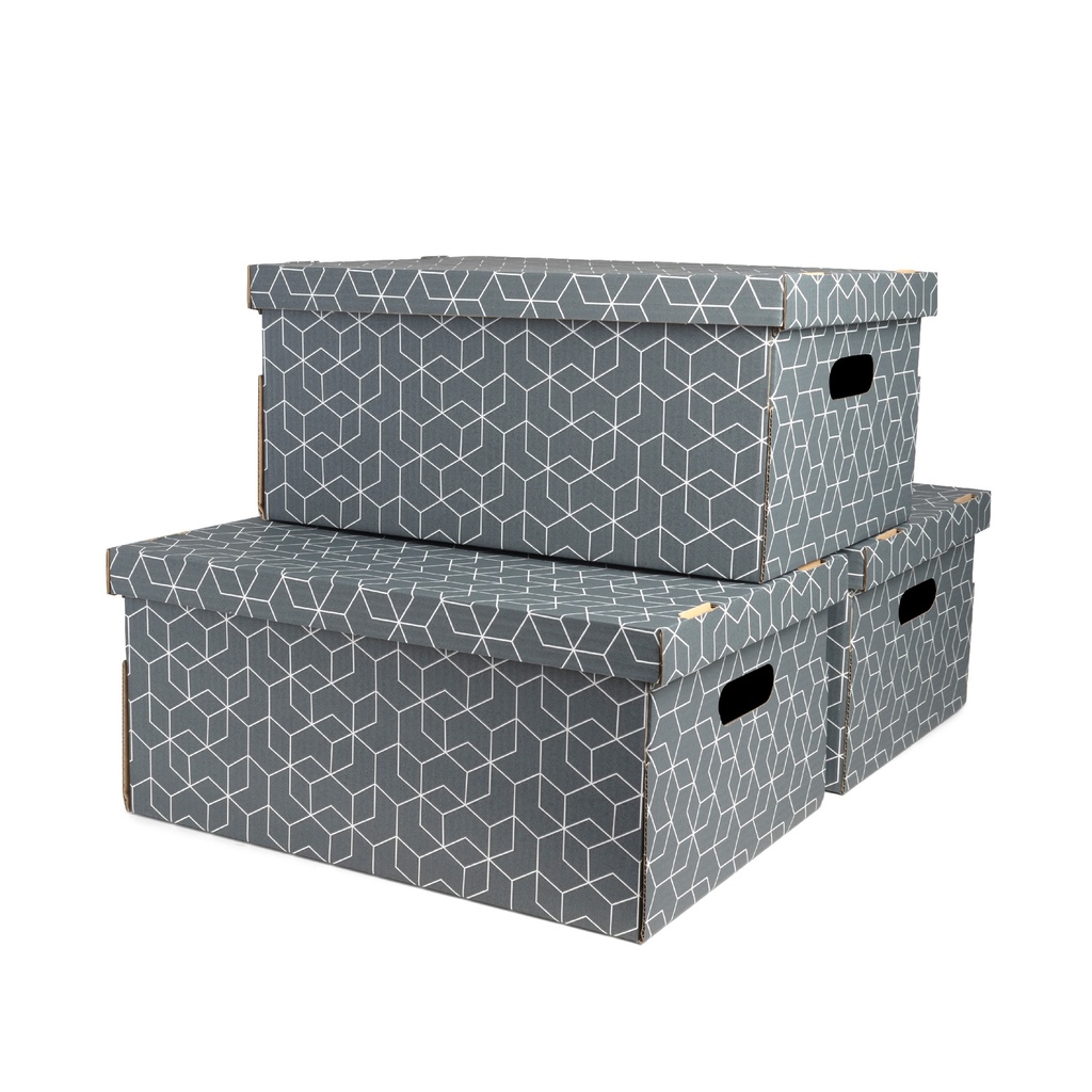 SET 3 SCATOLE CARTONE AUTOMONT