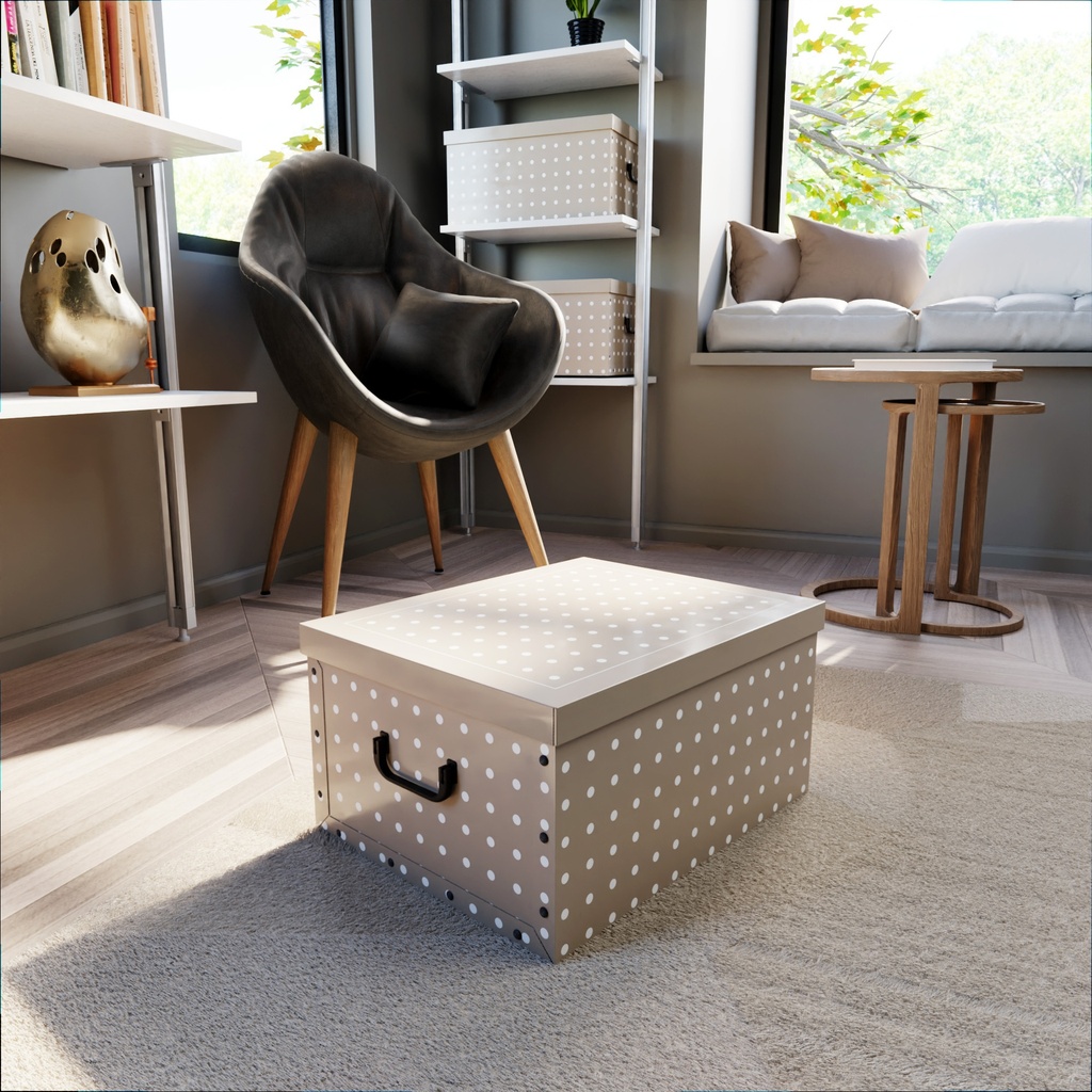 RIVOLI BAULOTTO CART.50X40X25H
