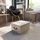 RIVOLI BAULOTTO CART.50X40X25H