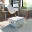 PALMA BAULOTTO CART.50X40X25H