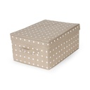 RIVOLI  SCATOLA TNT MEDIUM