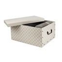 MADISON BAULOTTO CARTONE