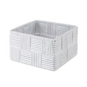 TORONTO ORGANIZER S BIAN/GRIG