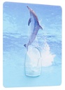 MAGIC HOOK - DELFINO DESIGN
