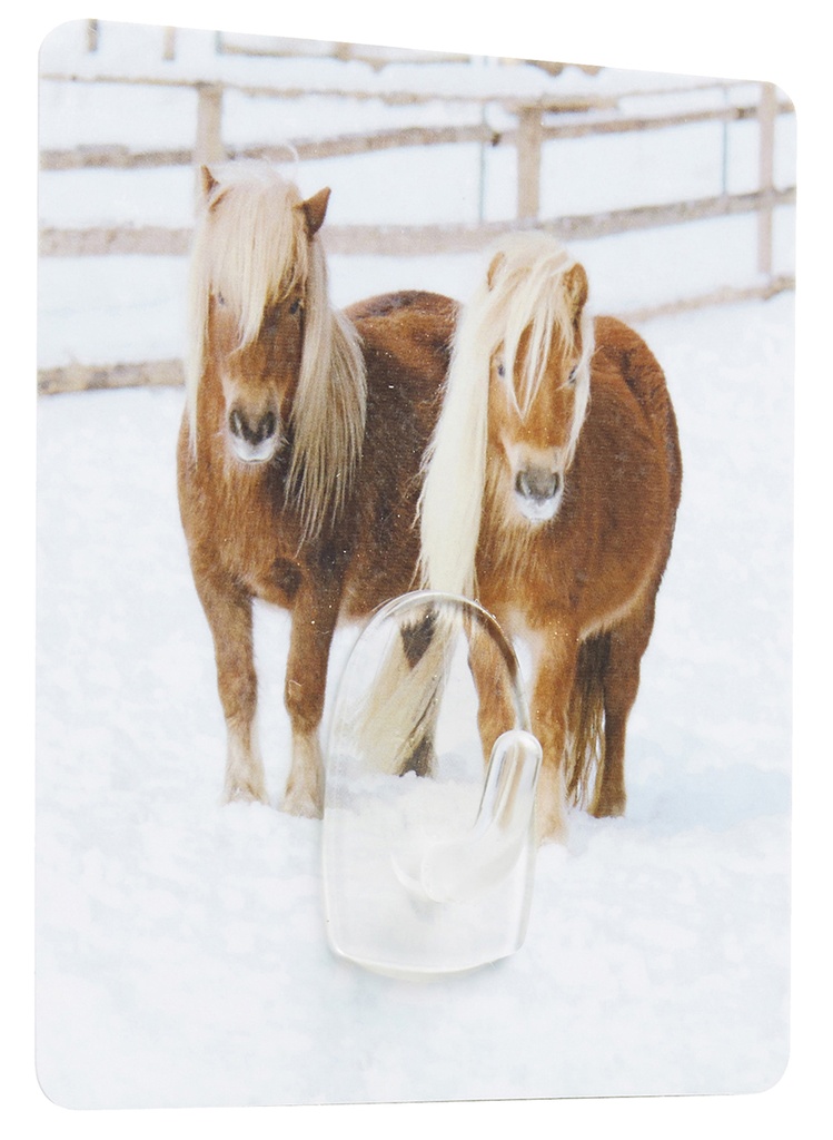 MAGIC HOOK - PONY DESIGN