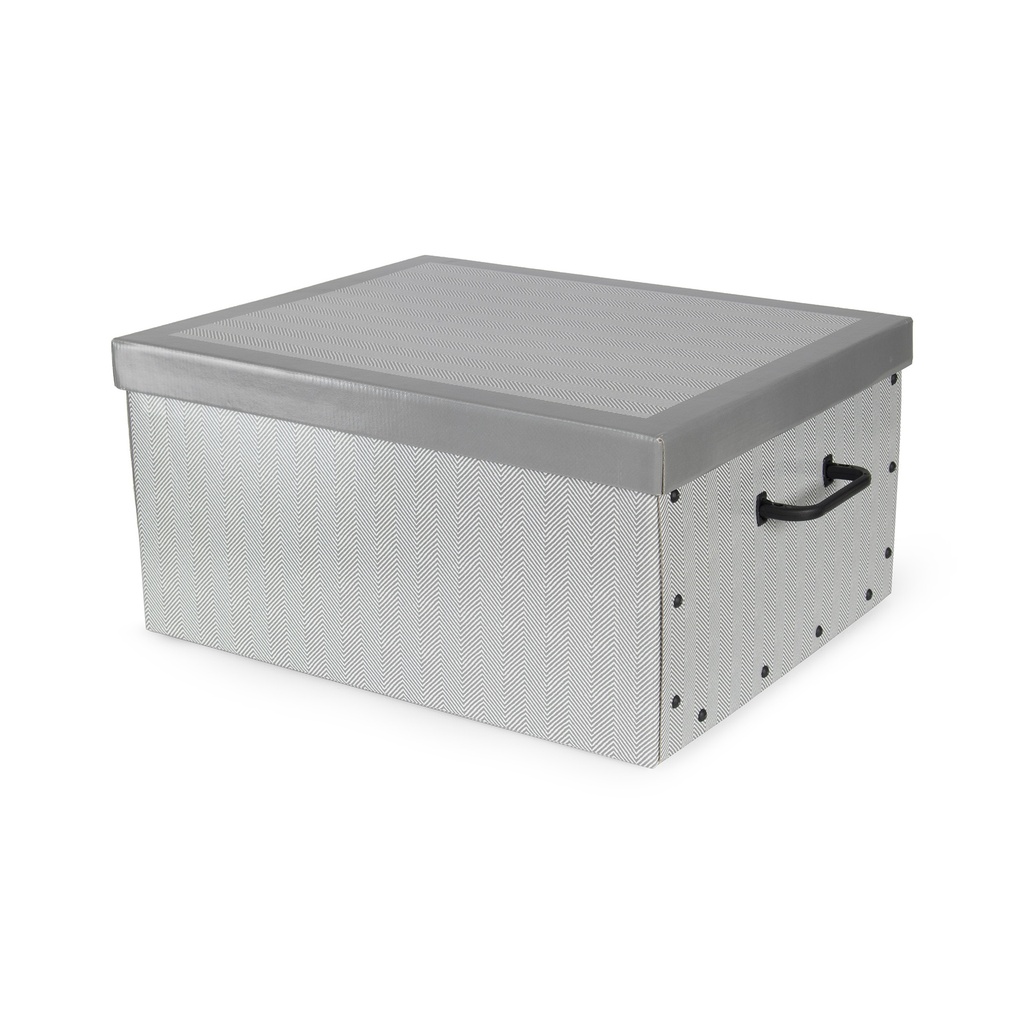 BOSTON BAULOTTO CARTONE