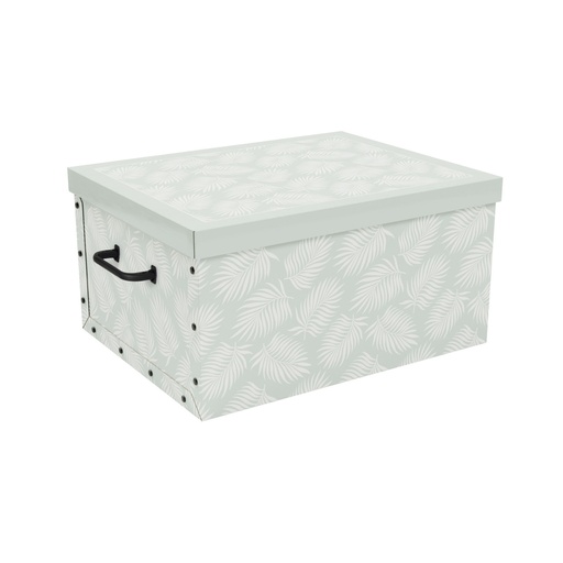 [RAN9791] PALMA BAULOTTO CART.50X40X25H