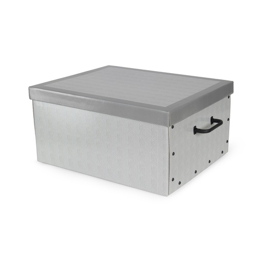 [RAN10905] BOSTON BAULOTTO CARTONE